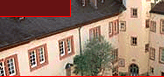 Burgen an Rhein und Donau