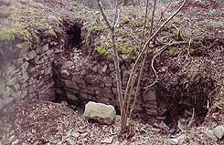 Burgstelle Stolzenberg, Nord-S�d-Mauerzug auf der Oberburg, Ansicht von Osten, 2006 (Aufnahme: Uwe Welz)