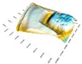LITICE. 3D model hradu v programu Surfer 8 (Golden software). Podle Hložek 2010. - LITICE. 3D Modell der Burg im Programm Surfer 8 (Golden software). Nach Hložek 2010