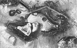 LOPATA Pl�n hradu od F.X. France z roku 1890. Podle Novobilsk� 2008. � LOPATA. Grundriss der Burg von F.X.Franc aus dem Jahre 1890. Nach Novobilsk� 2008