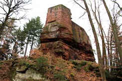 Schildmauer und Palas vom Halsgraben aus (von SW), Foto: Werner Westermann, 01/2011