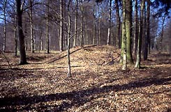 Motte mit ringfrmigem Graben (H. Wagner 3.3.2004).