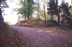 Durch den ehem. Halsgraben zieht ein Weg; rechts die Burgstelle (H. Wagner 25.10.2005).