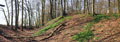 Oldenburg bei Laer �stlicher Burgwall Foto: M. Rasch 2015