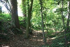Steinfurt, Burg Ascheberg, Graben der Hauptburg von W. Foto: Eismann 2011