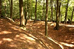 Ibbenb�ren, Befestigung bei D�renthe, Graben von W. Foto: Eismann 2011