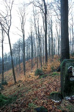 Wall und sdlicher Steilhang von Osten. Foto Roland Pieper, 2002.