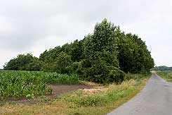  Ascheberg-Haselburg von SO. Foto: Eismann 2010