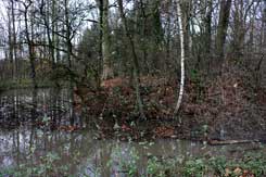 Nordkirchen, Motte Altendorf von O. Foto: Eismann 2010