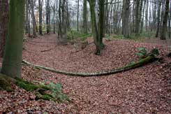 Nottuln, Gro�-Schonebeck, inneres Wall-Grabensystem von O