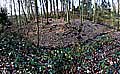 Der mutmaliche Mottenhgel liegt sdlich des Hofes Schulze Darup. Er weist ein ca. 22 x 44 m groes, ungefhr viereckiges Plateau auf und grenzt im Sdosten an einen Bach. Oberflchlich sind keine Reste von Baustrukturen auf ihm sichtbar. Foto: M. Rasch 2018