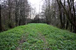  Rosendahl, Barenborg, Damm von NO. Foto: Eismann 2010