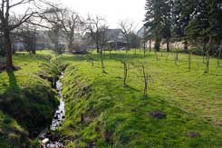 Blick auf die Lage der abgegangenen Burgstelle von O, Foto: Markus Westphal (2012) 