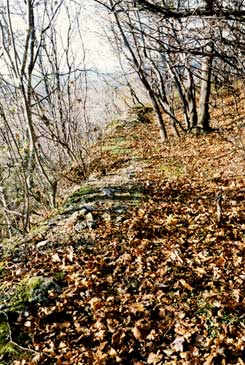 Gnt-Oroszlnkő. Reste der Burgmauer im Norden, 1996 (Foto: Gyrgy Terei)