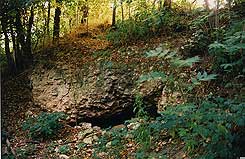 Kapospula-Drvr.  Der nrdliche Mauerstumpf der Burg, 1994 (Foto:  Zsuzsa Mikls)