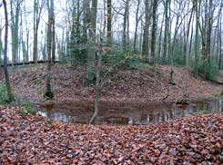 Langenfeld-Richrath-Schwanenmhle. Mittelalterliche Motte (Hauptburg) von Nordwesten. Foto G. Krause Dezember 2011. 