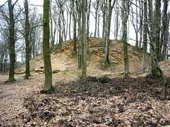 Blick auf den Mottenh�gel von S, Foto: Markus Westphal (2006)