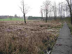 The castle site, photo: Moesgrd Museum/Sites and Monuments, Danish Agency of Culture (2008)