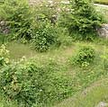 The inner walls of the tower Folen (the Foal), photo: The National Museum of Denmark (2005)