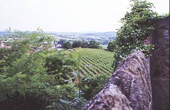 Unterburg, von der Kernburg aus gesehen (H. Wagner 2008).