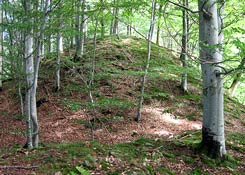 Der westliche Hgel von der Bergseite. (H. Wagner 2010)