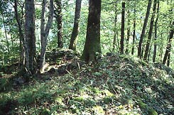 Gerllhaufen markieren die ehem. Mauerverlufe in der Kernburg (H. Wagner 30.8.2005).