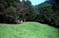 Eine auffllige Kuppe am Ende des Bergsporns, durch die ehem. Beackerung verschliffen (H. Wagner 18.8.2005).