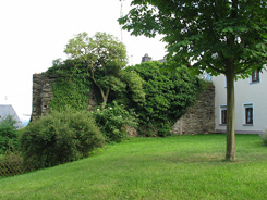 Niederburg, Gesamtansicht, Foto: Friedrich (2008)