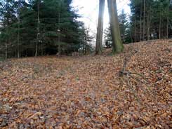 Ober-Beerbach, Schlsschen, Ringgraben Foto: Steinmetz, 2013