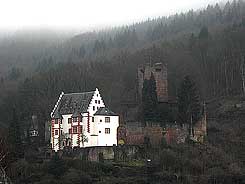 Ansicht der Burg von mainabwrts, Foto: Steinmetz 2014