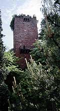 Bergfried im Burghof, Foto: Steinmetz 2014