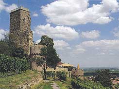 Burgruine Wachtenburg, Schildmauer, Bergfried und Flankierungstürme, ansicht von Süden, 2004 (Aufnahme: Reinhard Zimmermann