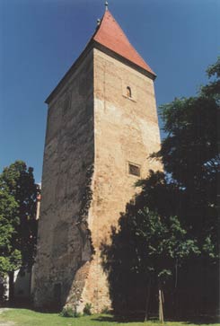 Orth: Auenansicht eines Eckturms. Foto: Gerhard Reichhalter (2004)