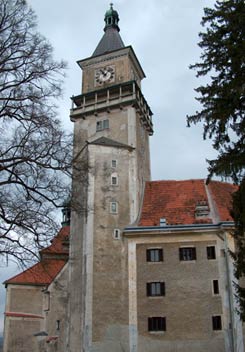 Niederwallsee: Bergfried und Kernburg von Sdwesten. Foto: Patrick Schicht (2005)