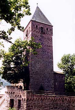 Zwingenberg, Blick auf Bergfried und Zwingermauer von der Angriffsseite gesehen (Nicolai Knauer)