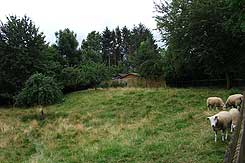 Wallrest, Foto Pischke (2016)