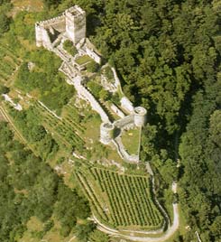 Hinterhaus: Luftbildaufnahme der Burg. Foto: Luftbildarchiv des Instituts für Ur- und Frühgeschichte, Universität Wien (1999)