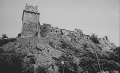 Weitenegg: Ansicht der Burg vom Donautal. Foto: Gerhard Reichhalter (um 1980)