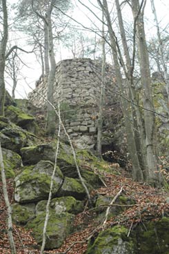 Sarmingstein: Die Reste des Bergfrieds in der Vorburg. Foto: Karin Kühtreiber (2005)