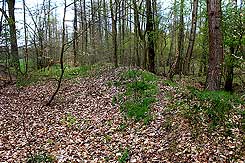 Ansicht des Restes des Walles, noch erhht bei Erdarbeiten, von O. Foto Sandy Bieler (2017)