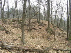 Gesamtansicht, Foto: D. Barz (2005)