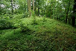 Die Randbefestigung des Burgplateaus (Foto Eismann 2017)