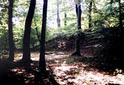 Der Graben der Burg  Gerencsr. Foto: Gergely Tolnai (2004).