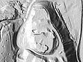 Digitales Gelndemodell des Burgberges, Geodateninfrastruktur Thringen (Landesamt fr Vermessung und GeoinformationThringen)  / Bereitstellung durch das Thringische Landesamt fr Denkmalpflege und Archologie