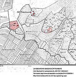 Lage von Unterem- und Oberem Hof in der Flurkarte NO 1322 von 1824 (http://www.landesarchiv-bw.de/plink/?f=2-5299104), Hervorhebungen und Eintrag von Luftbildbefunden nach https://www.google.de/maps (06.11.2018): Christoph Engels