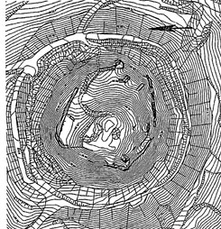 Lageplan der Schauenburg (aus Reuting 2010, S. 21)