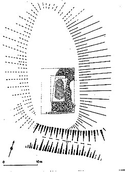 Plan der Stenderburg (aus Fiedler 1991)