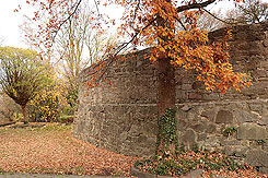 Die Stadtmauer im Bereich der Burg (Foto Eismann 2018)