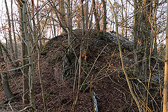 Der Burgh�gel (Foto Eismann 2019)