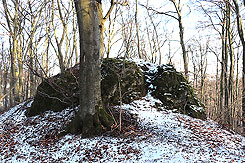 Das oberste Plateau (Foto Eismann 2019)